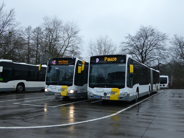 Foto van DeLijn Mercedes-Benz Citaro G Hybrid 646055 Gelede bus door Delijn821
