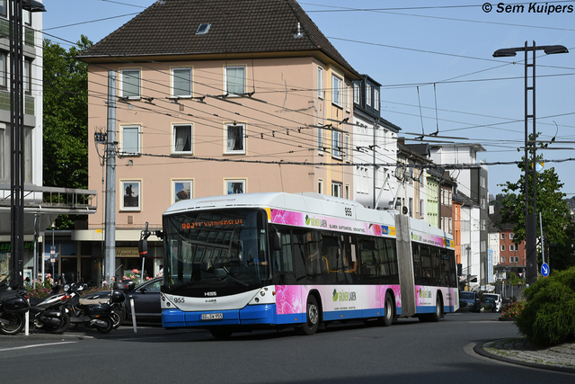 Foto van SWS Hess Swisstrolley 955 Gelede bus door RW2014