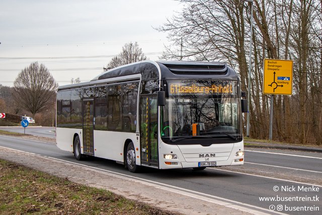 Foto van LTBbus MAN Lion's City Hybrid 552 Standaardbus door Busentrein