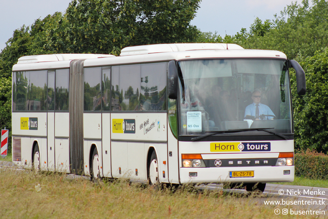 Foto van Horn Setra SG 321 UL 0 Gelede bus door Busentrein