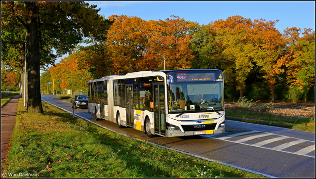 Foto van DeLijn MAN Lion's City 18C 641064 Gelede bus door WDaelmans