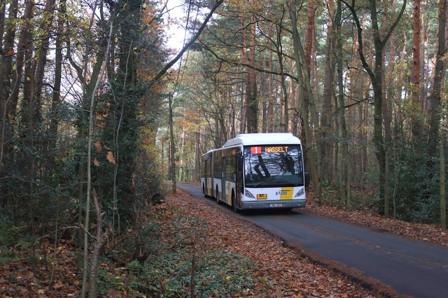 Foto van DeLijn Van Hool AG300 5248 Gelede bus door_gemaakt mauricehooikammer