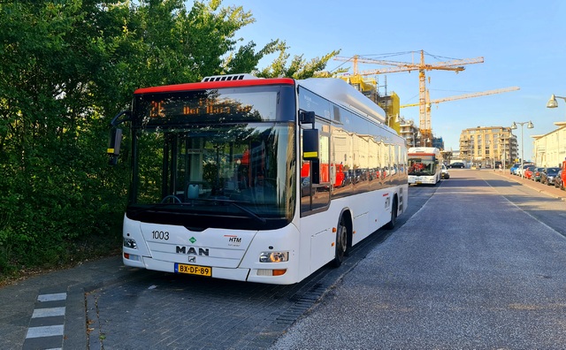 Foto van HTM MAN Lion's City CNG 1003 Standaardbus door dmulder070