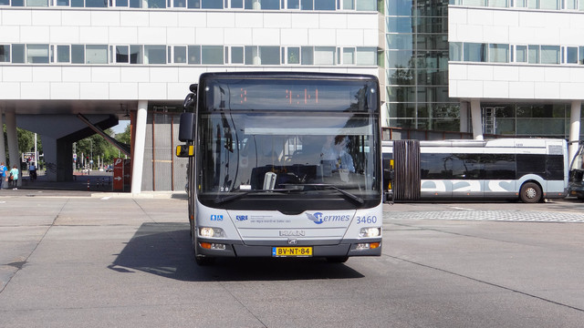 Foto van HER MAN Lion's City 3460 Standaardbus door_gemaakt OVdoorNederland