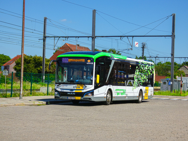 Foto van DeLijn MAN Lion's City 12E 683028 Standaardbus door_gemaakt Delijn821