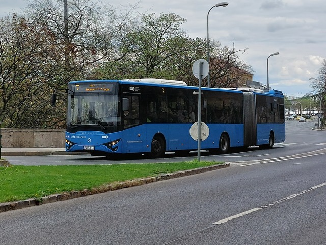 Foto van BKK Modulo M168d 914 Gelede bus door Jossevb