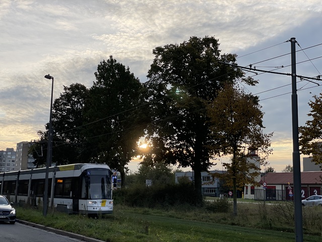 Foto van DeLijn Flexity 7305 Tram door M48T