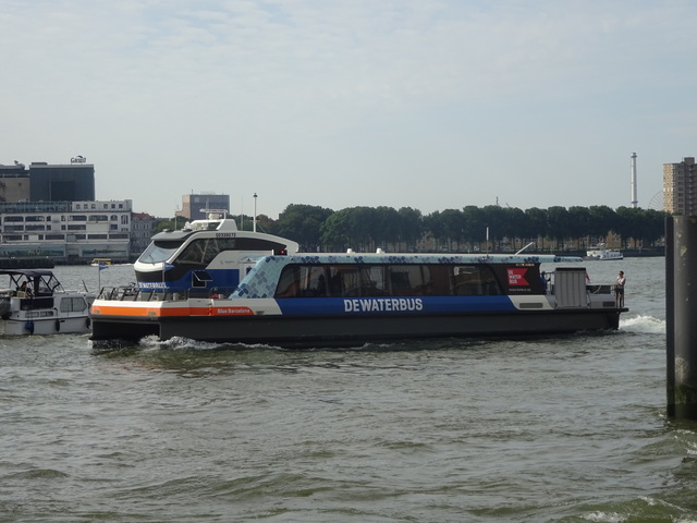 Foto van QBZ Waterbus 6705 Veerpont door Rotterdamseovspotter