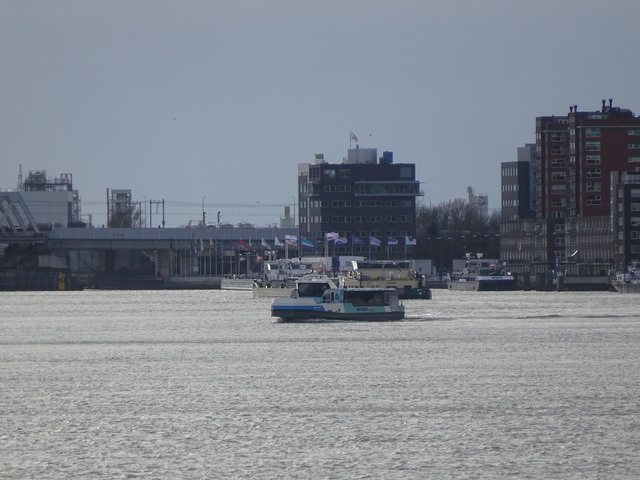 Foto van QBZ Waterbus (elektrisch) 6705 Veerpont door Rotterdamseovspotter