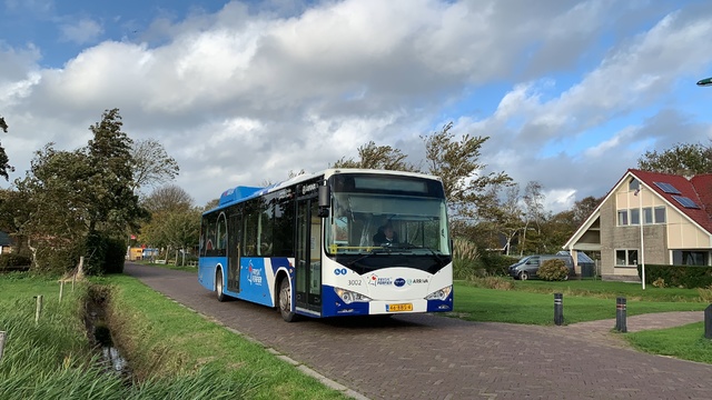 Foto van ARR BYD K9A 3002 Standaardbus door_gemaakt Stadsbus
