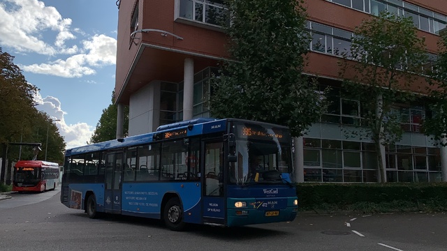 Foto van ARR MAN Lion's City T 123 Standaardbus door Stadsbus