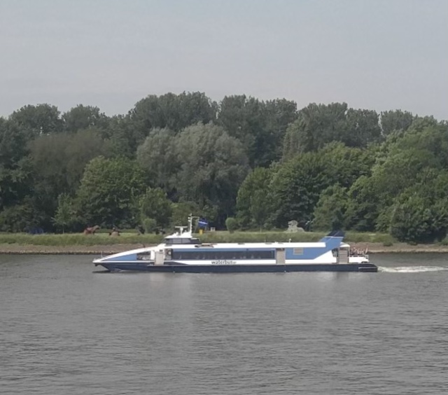 Foto van ARR Waterbus 805 Veerpont door Rotterdamseovspotter
