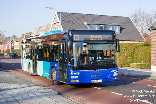 Foto van DBWestf MAN Lion's City 583 Standaardbus door Busentrein