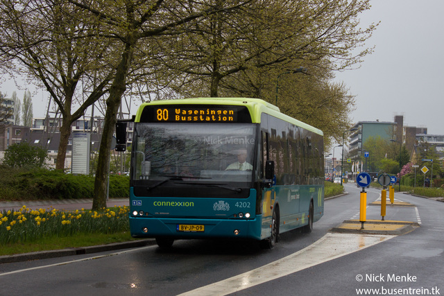 Foto van CXX VDL Ambassador ALE-120 4202 Standaardbus door_gemaakt Busentrein