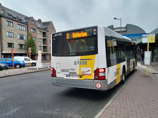 Foto van DeLijn MAN Lion's City M 611073 Midibus door_gemaakt Busfantilburg15