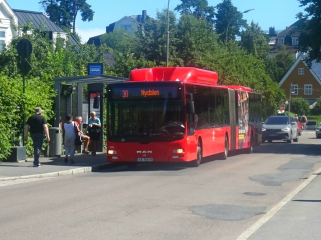 Foto van Ruter MAN Lion's City G CNG 1299 Gelede bus door Jossevb
