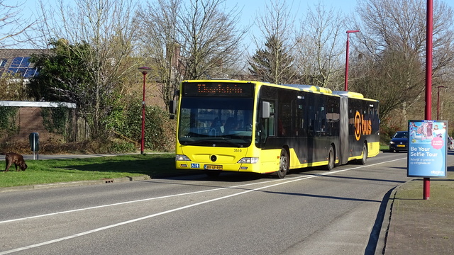 Foto van QBZ Mercedes-Benz Citaro G 3510 Gelede bus door SteefAchterberg