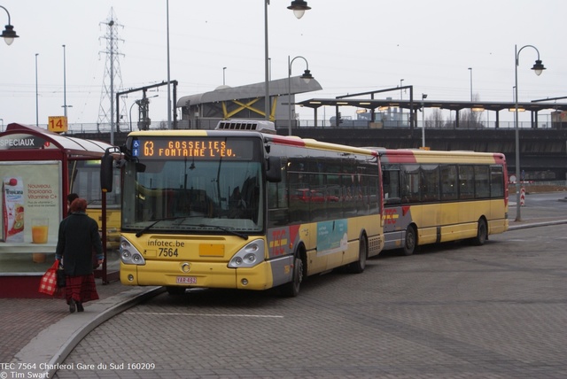 Foto van TEC Irisbus Citelis (12mtr) 7564 Standaardbus door tsov