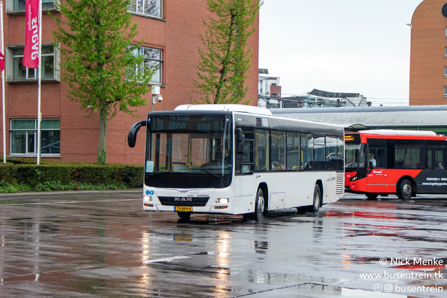 Foto van DRI MAN Lion's City LE 317 Standaardbus door Busentrein