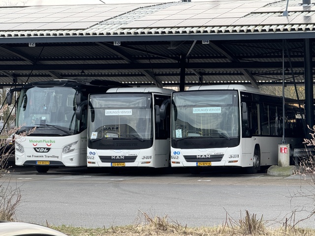 Foto van DRI MAN Lion's City LE 317 Standaardbus door Stadsbus