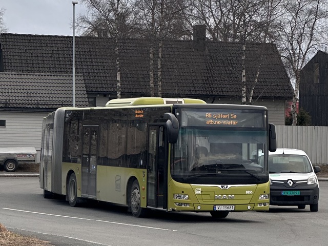Foto van TideNO MAN Lion's City G CNG 8855 Gelede bus door Ovzuidnederland