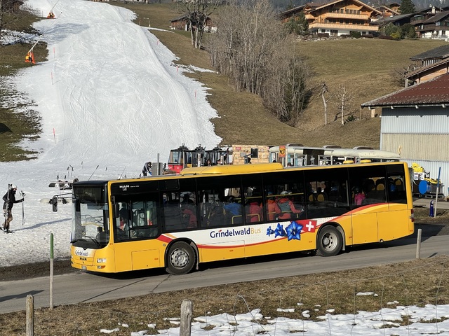Foto van Grindelwald MAN Lion's City M 24 Midibus door Stadsbus