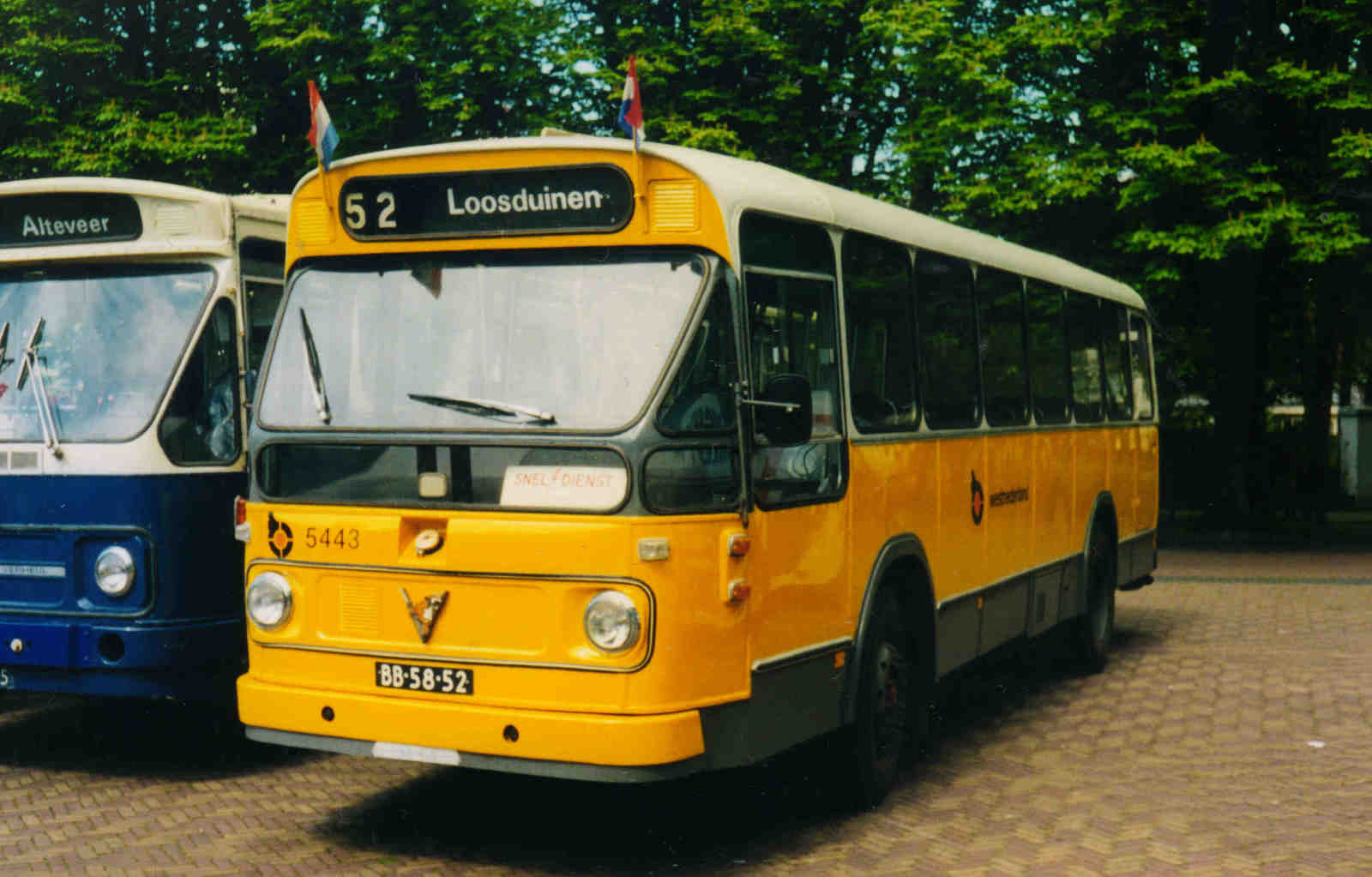 Foto van HBM Leyland / Verheul stadsbus 5443